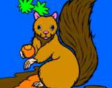 Dibuix Esquirol pintat per Ines