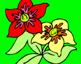 Dibuix Flors pintat per andrea belen gomez