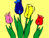 Dibuix Tulipes pintat per MARGA