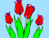 Dibuix Tulipes pintat per Marina 