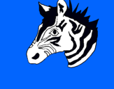 Dibuix Zebra II pintat per LEON