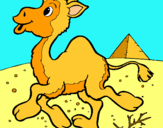 Dibuix Camell pintat per Quirze