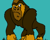 Dibuix Goril·la pintat per pop