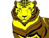 Dibuix Tigre pintat per CHUCHIN