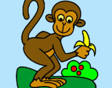 Dibuix Mono pintat per bfb
