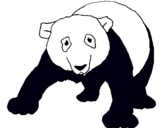 Dibuix Ós panda pintat per anònim