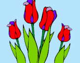 Dibuix Tulipes pintat per Propoff