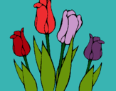 Dibuix Tulipes pintat per ARIADNA  alves