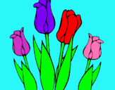 Dibuix Tulipes pintat per LAURA  S.