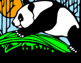 Dibuix Ós panda menjant pintat per Joan
