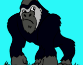 Dibuix Goril·la pintat per xavier
