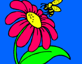 Dibuix Margarida amb abella pintat per ANDREA RIALP