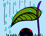 Dibuix Marieta de set punts protegida de la pluja  pintat per ALANA