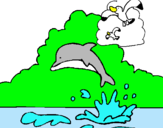 Dibuix Dofí i gavina pintat per anna 8