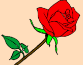 Dibuix Rosa pintat per yissel