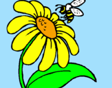 Dibuix Margarida amb abella pintat per                   reyna