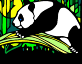 Dibuix Ós panda menjant pintat per AARON