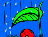 Dibuix Marieta de set punts protegida de la pluja  pintat per farners