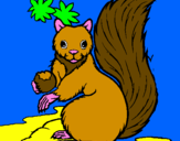 Dibuix Esquirol pintat per marc sagues