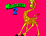 Dibuix Madagascar 2 Melman pintat per ariadna gonzalez tena