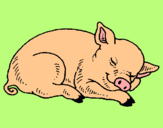Dibuix Porc dormint pintat per ARIADNA VILLAR