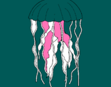 Dibuix Medusa pintat per alex
