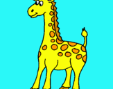 Dibuix Girafa pintat per Xisca M.