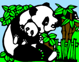 Dibuix Mare Panda pintat per aina