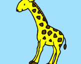 Dibuix Girafa pintat per hannah