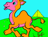 Dibuix Camell pintat per mire