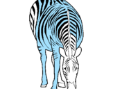 Dibuix Zebra pintat per girafa