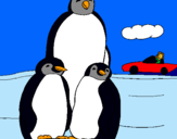 Dibuix Família pingüí  pintat per JUDIT RAFOLS