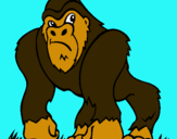 Dibuix Goril·la pintat per JOSEP