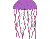 Dibuix Medusa pintat per PEPI