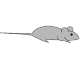 Dibuix Rata pintat per alex