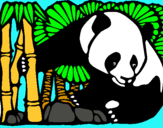 Dibuix Ós Panda i Bambú pintat per laia