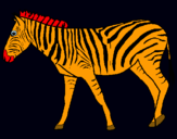 Dibuix Zebra pintat per JOEL