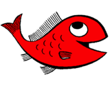 Dibuix Peix pintat per peix vermell