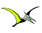 Dibuix Pterodàctil pintat per pablo    maria