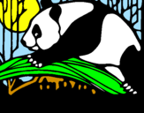 Dibuix Ós panda menjant pintat per PERE