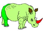Dibuix Rinoceront pintat per hhjyjtuututyhhhnb