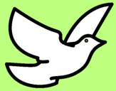 Dibuix Colom de la pau pintat per anna