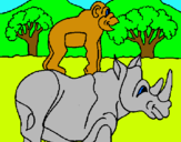 Dibuix Rinoceront i mono pintat per ANIOLC