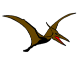 Dibuix Pterodàctil pintat per Raimon