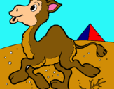 Dibuix Camell pintat per arnau 