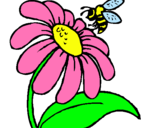 Dibuix Margarida amb abella pintat per Núria.L