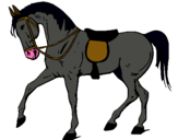 Dibuix Cavall de competició  pintat per Trobador