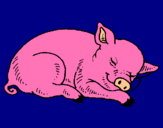 Dibuix Porc dormint pintat per claudia solanes
