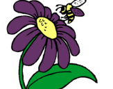 Dibuix Margarida amb abella pintat per ELIAS