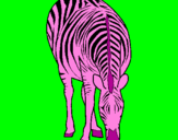 Dibuix Zebra pintat per claudia te hecho de menos